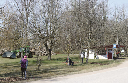 Kodokandi kraammin&otilde; tetti seok&otilde;rd distantsi hoit&otilde;n