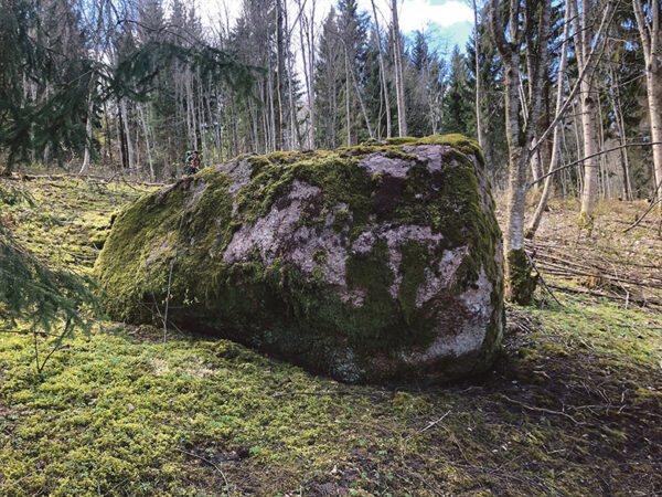 Urvast&otilde; kandi k&otilde;n&otilde;l&otilde;va kivi