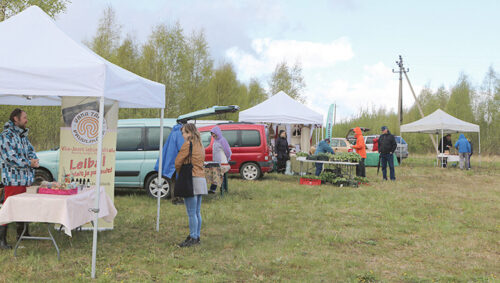 Taloturup&auml;iv Ihamarun