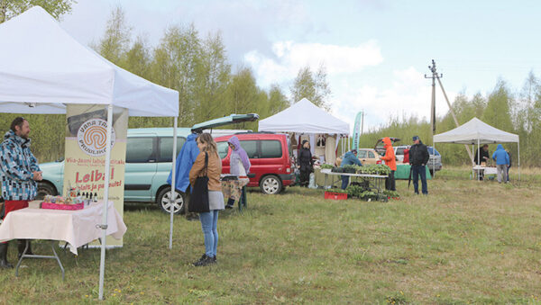 Taloturupäiv Ihamarun