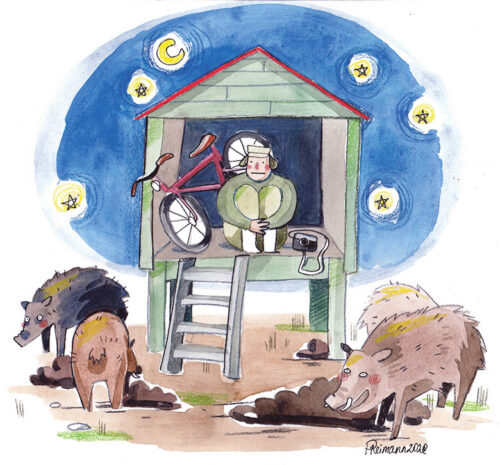 Tsiko kaemah. T&uuml;kk kolm&otilde;h jaoh