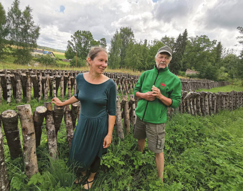 Parmu ökokülän kasvatõdas idamaa siini
