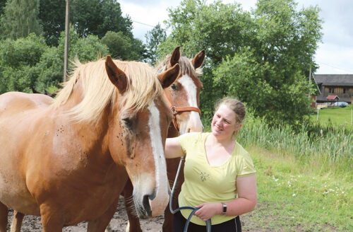 Maael&auml;mise uutva k&uuml;l&auml;liidsi