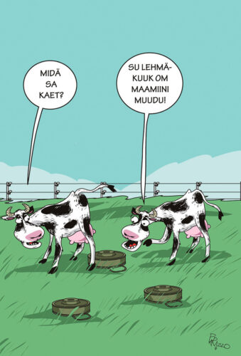 Parm tsuskas: maamiini