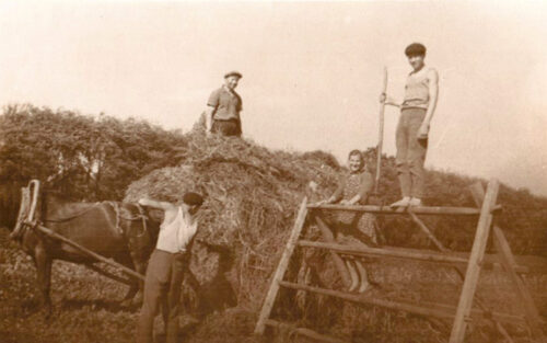M&auml;leht&uuml;isi suv&otilde;st ja hainategemisest
