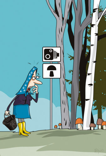 Parm tsuskas: seenekaamõra