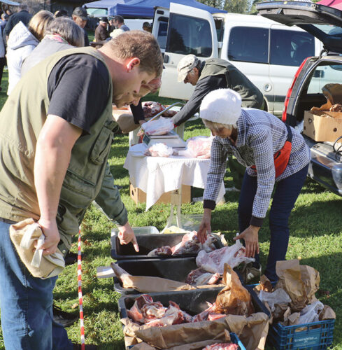 Sulbin peeti mihklilaata