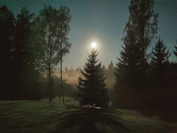 Mihklip&auml;&auml;v&auml; &uuml;&uuml; kuu