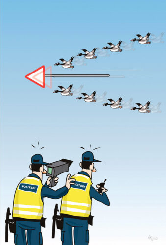 Parm tsuskas: tsirgukaamõra