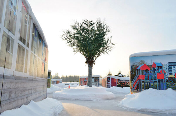 Suurõtiimuusõumin plaanitas palmi all vissi laskõ