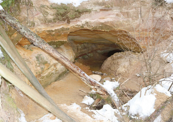 Imäläte võtt umma kujjo tagasi