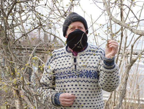 Puuviländüse kuulmeistre