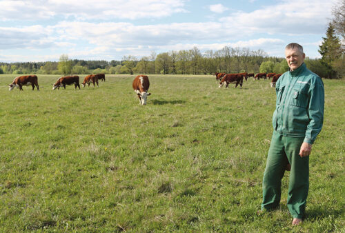 Koivakonnu luudusõhoitja