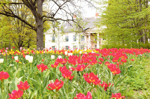 Lehekuu l&otilde;pu huvis&otilde;it Eestimaa p&otilde;n&otilde;vit paiku pite