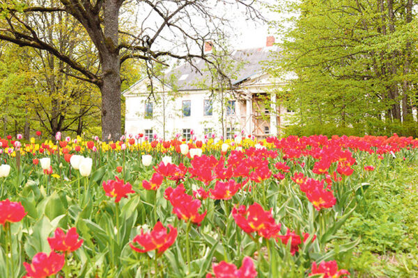 Lehekuu lõpu huvisõit Eestimaa põnõvit paiku pite