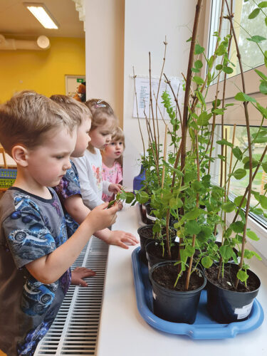 Latsiaian peet&auml;s potip&otilde;ldu