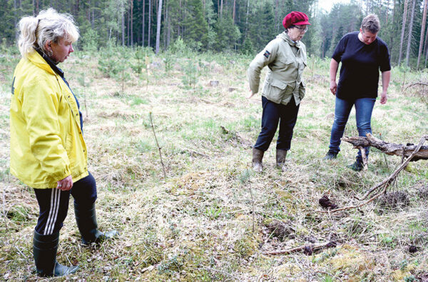 Mõnistõ rahvamaja seenetsõõr