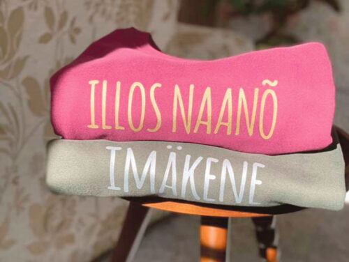 &Uuml;&uuml;kakk pakk v&otilde;rokeelitside kirjuga hammit