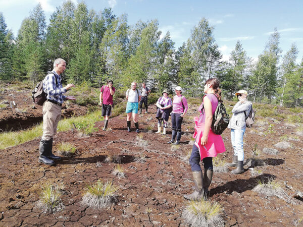 Ess-suu om ellu t&auml;&uuml;s