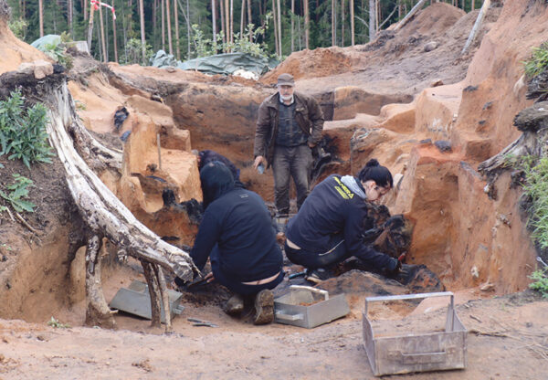 Rosma liinavärehti pilt säetäs kaemisõs vällä