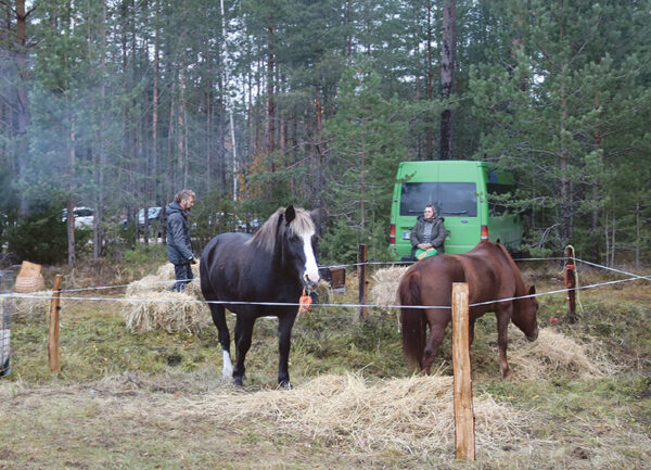 Lindora laat oll&rsquo; v&otilde;imsa