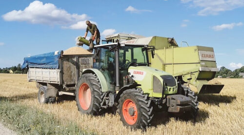 Mugavus&otilde; hind