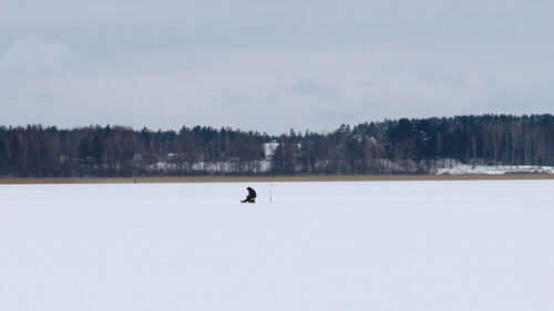 Kalaluulõ olõ ei kalaluu!