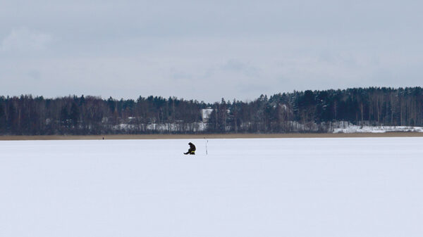 Kalaluul&otilde; ol&otilde; ei kalaluu!