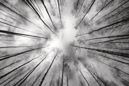 Luudus&otilde;piltnik M&uuml;&uuml;rsep&auml; Tuule