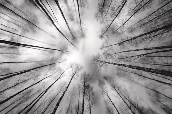 Luudus&otilde;piltnik M&uuml;&uuml;rsep&auml; Tuule