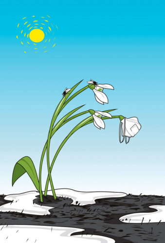 Parm tsuskas: keväjä alostus