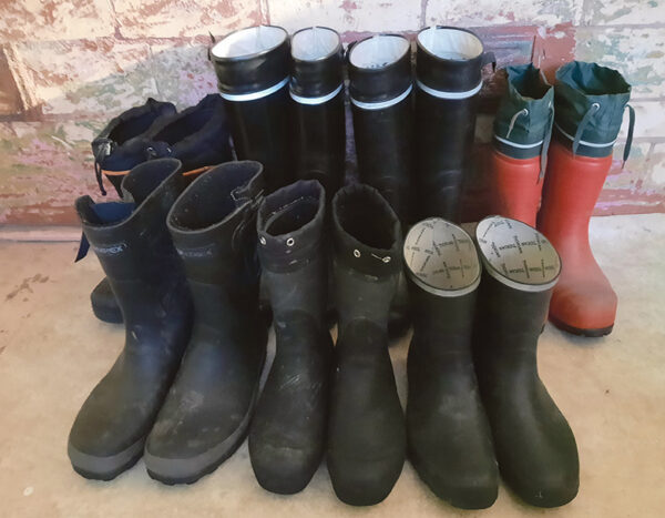 K&auml;&uuml;mises tett&uuml; seerigu