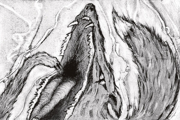 Kokkok&otilde;n&otilde;lus reb&auml;sega