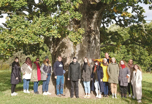 Reis õdagupoolitsõl Võromaal