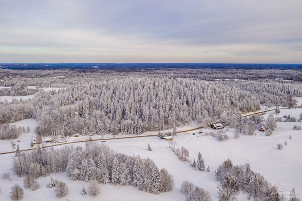 Essee: sissekaehus mu V&otilde;romaal&otilde;