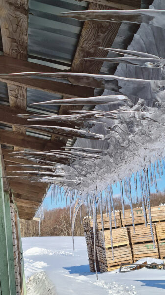 Varakev&auml;j&auml;ne luudus n&auml;&uuml;t&auml;s imevigurit