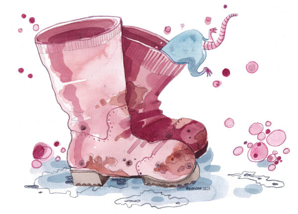 Kavval ku rep&auml;n