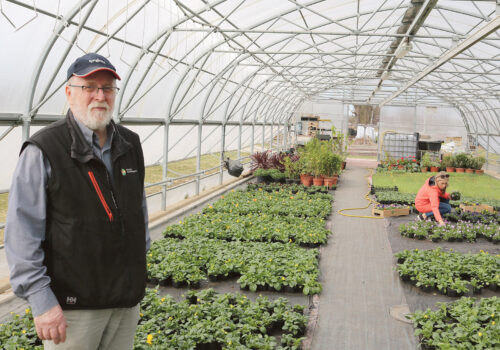 Aiakasvu ja -tarkus R&auml;pin&auml;lt