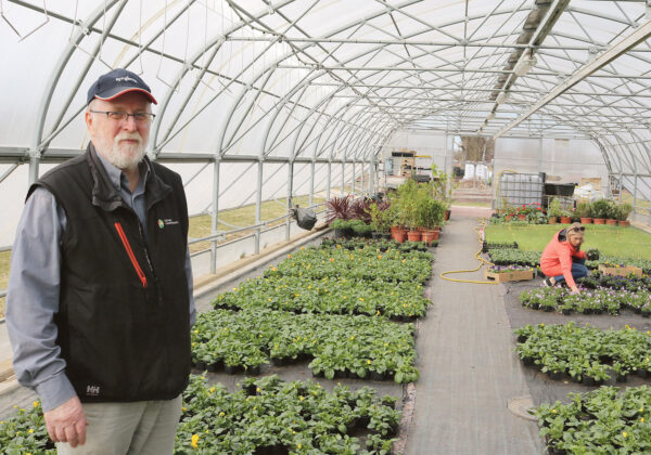 Aiakasvu ja -tarkus Räpinält