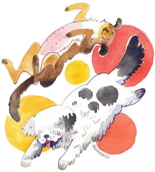 Mid&auml; t&auml;hend&auml;s &uuml;ts pini