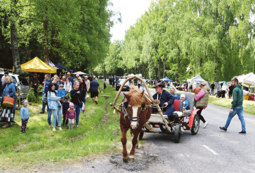 Laat Ihamaru k&otilde;iv&otilde; all