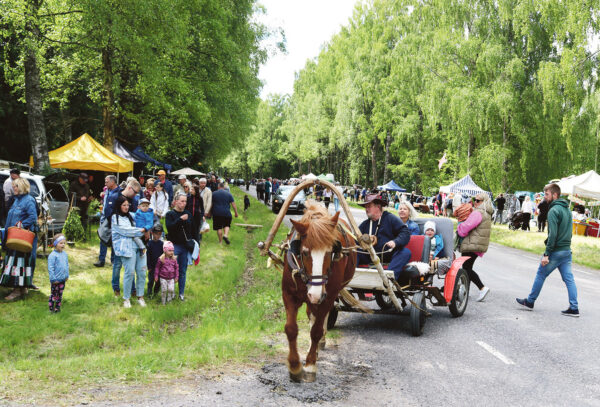 Laat Ihamaru kõivõ all