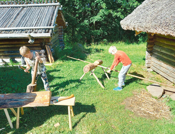 Rõugõ muinastalo man tetäs muistidsit töid