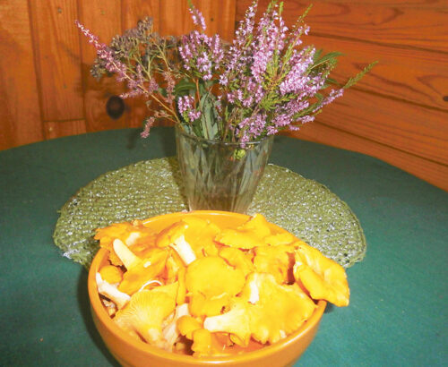 Luudus pand iks vasta ja inemiisil om egaütel uma paradiis