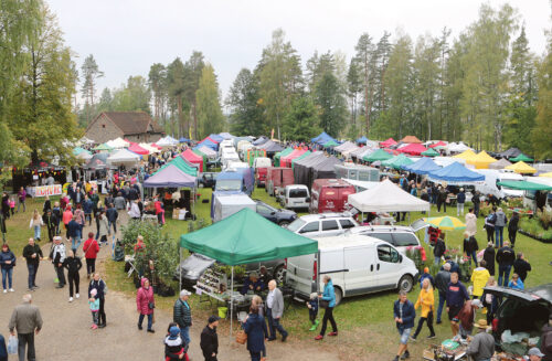 Süküslaada tävven huun