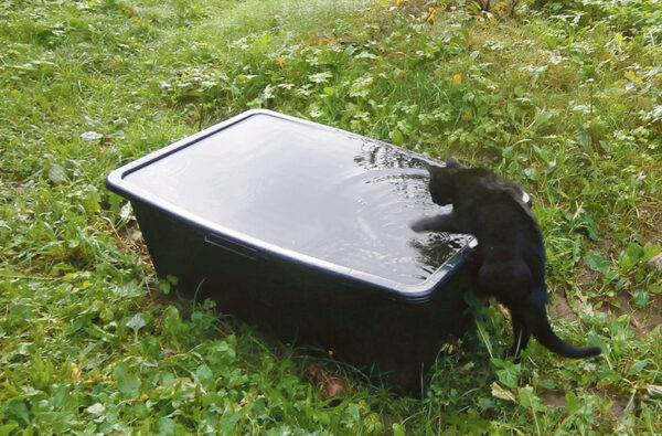 Saak j&auml;lleki salv&otilde;n