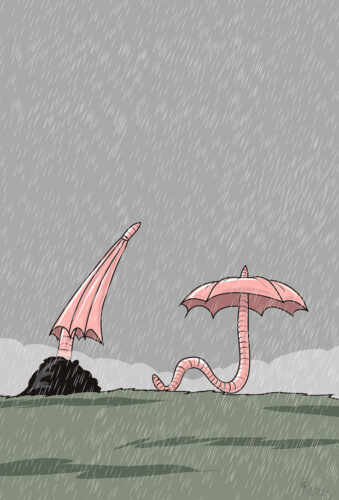 Parm tsuskas: vihmavaklu süküs