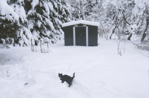 Puul talv&otilde; l&auml;bi?