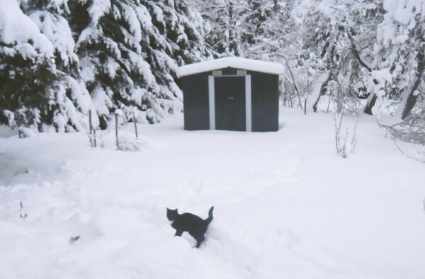 Puul talv&otilde; l&auml;bi?