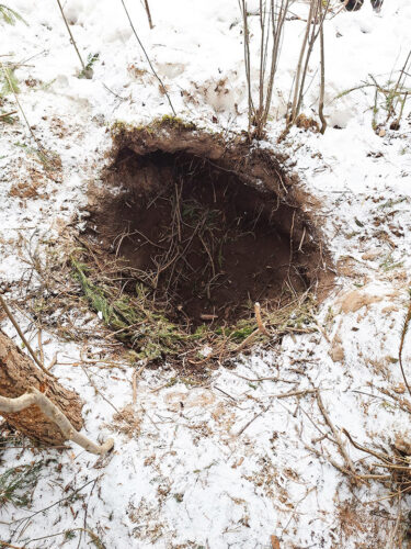 Kahrupes&auml; noor&otilde; ped&auml;j&auml; all